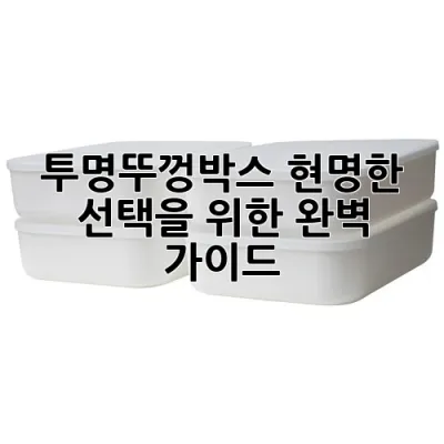 투명뚜껑박스: 현명한 선택을 위한 완벽 가이드